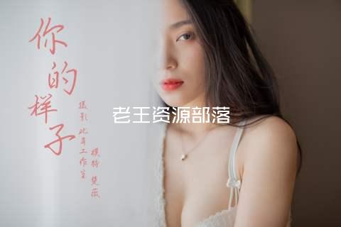 老王资源部落